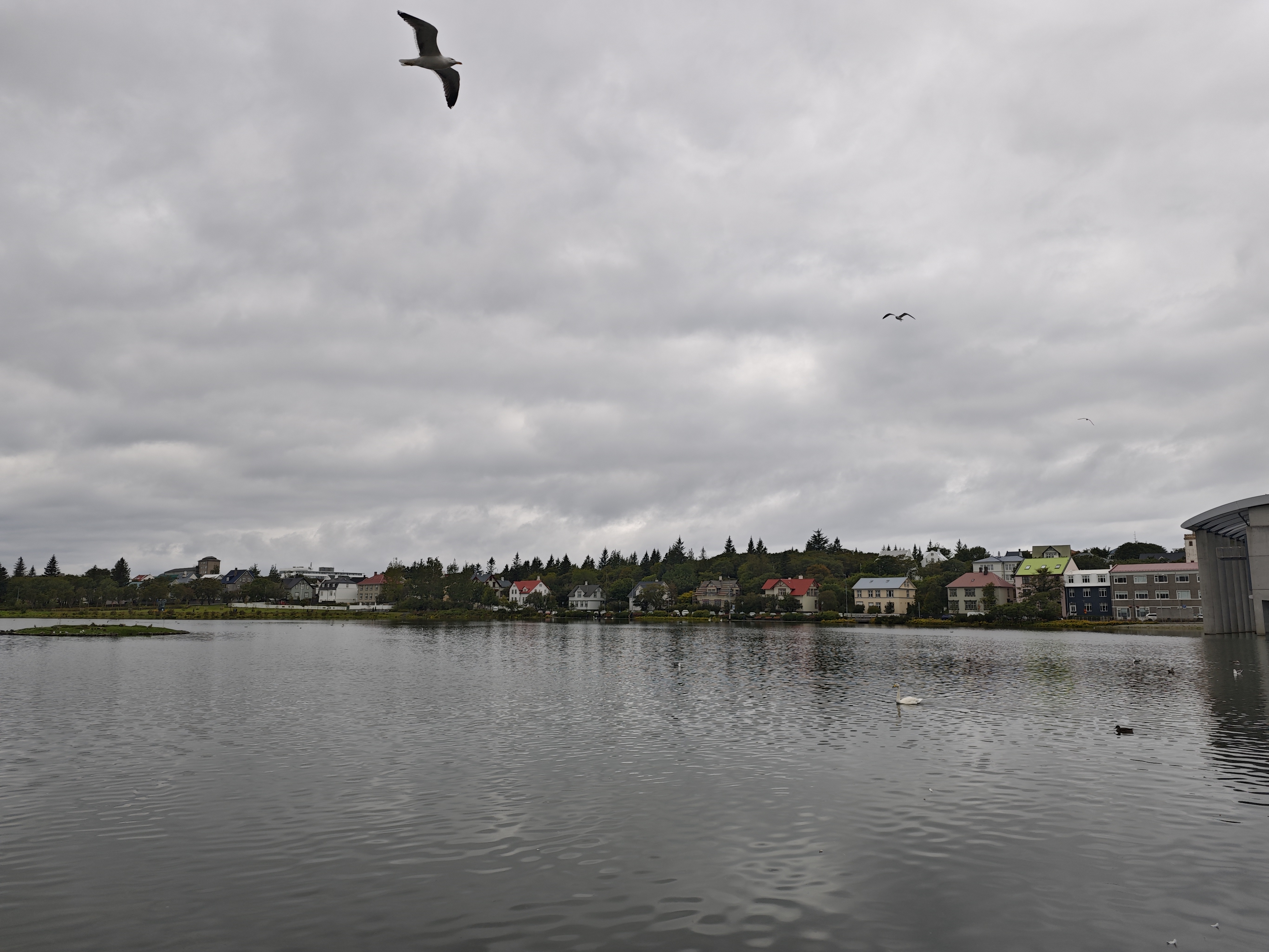 市政府旁边的湖