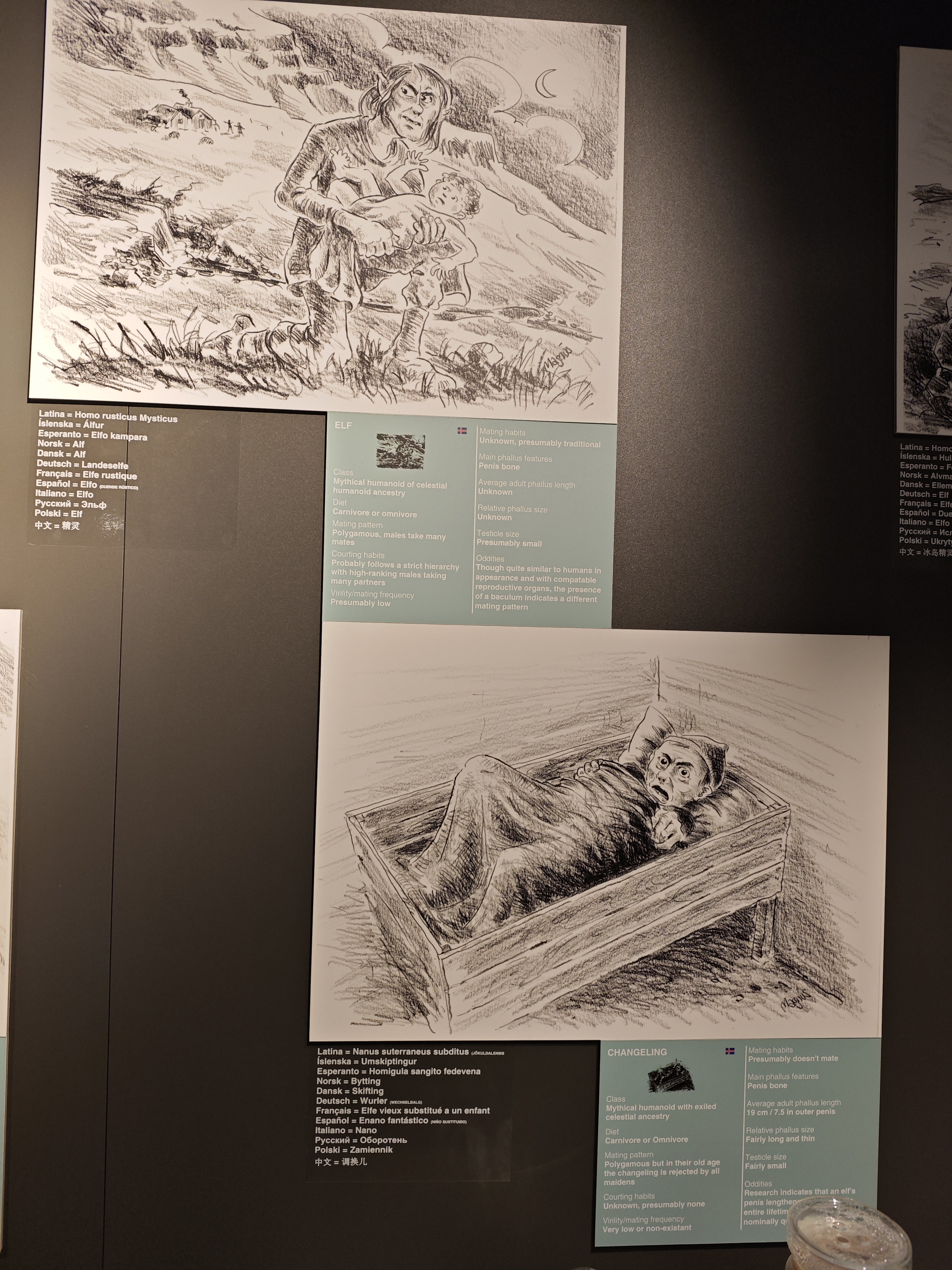 还有冰岛神话生物的阴茎描述