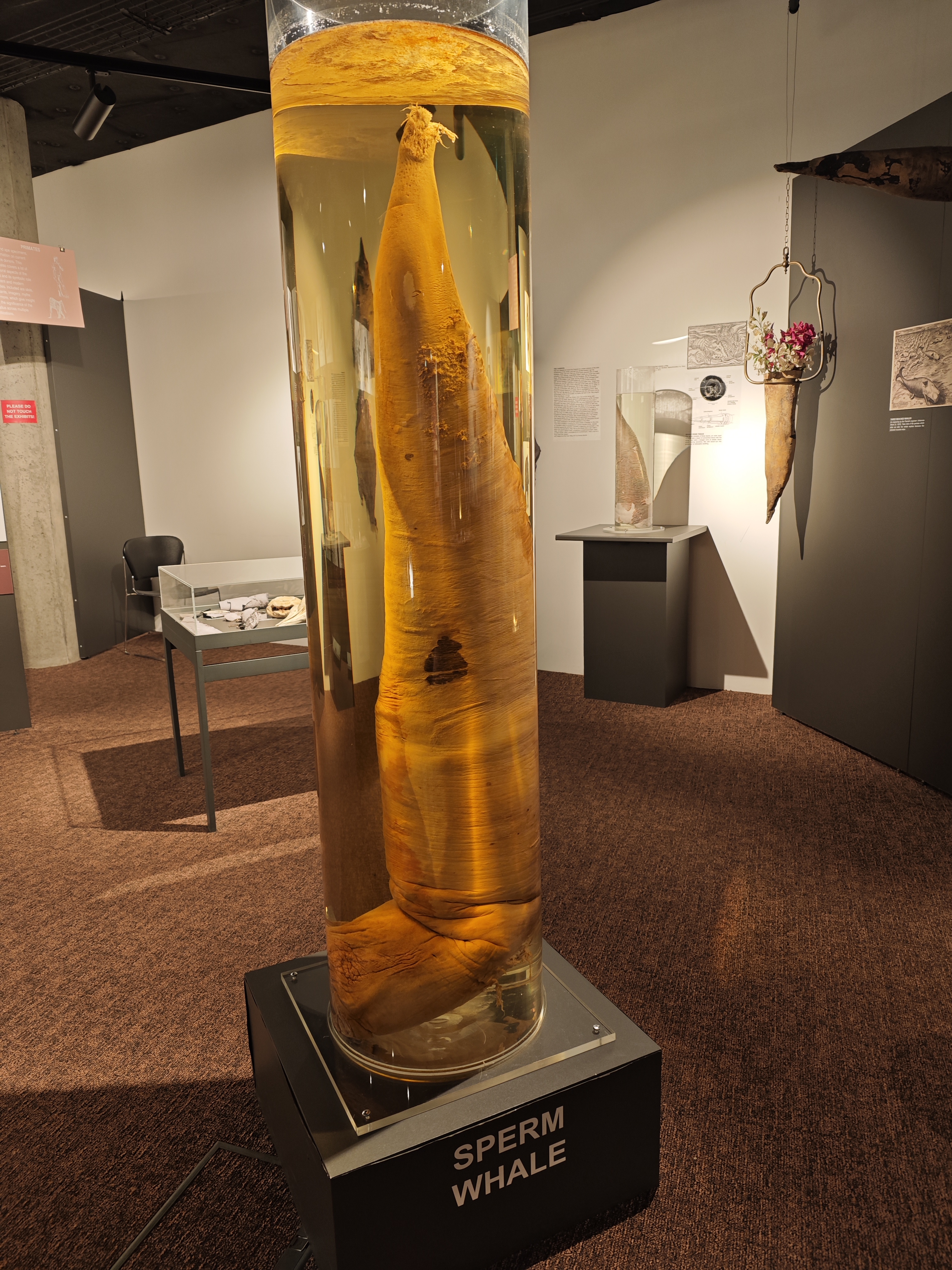 这比一般人高了