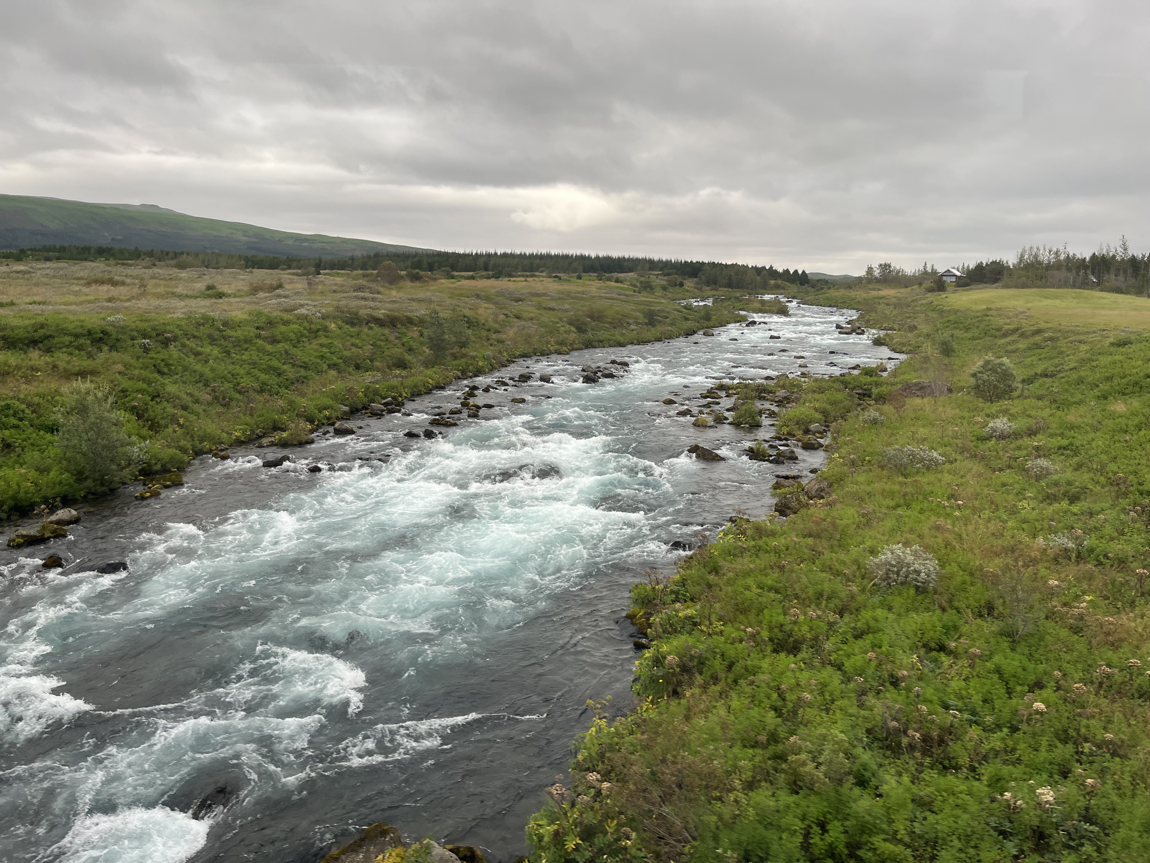 Stream beside the farm