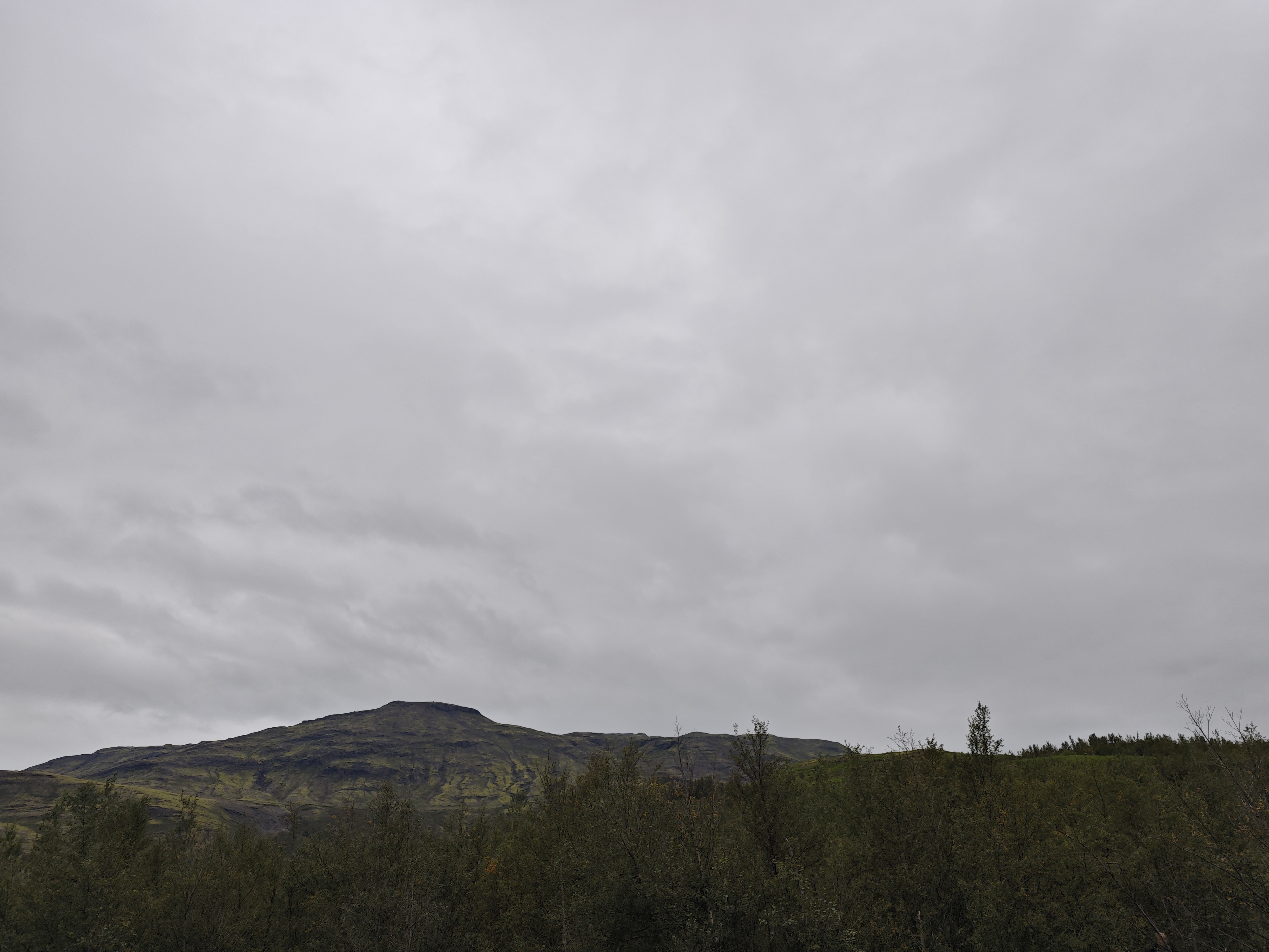 There are lots of mud from the volcanic eruption and special Icelandic yellow moss
