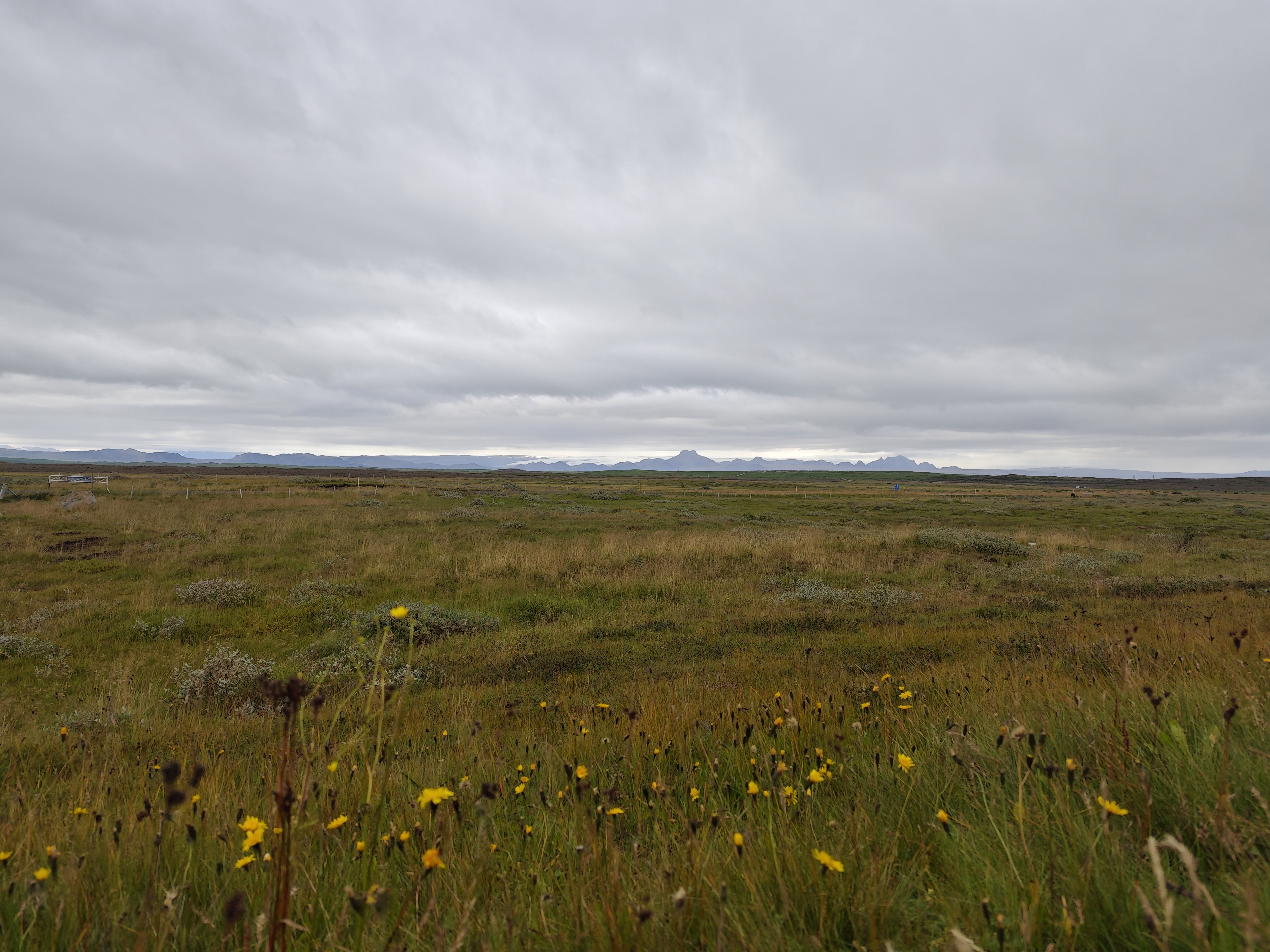 Vast grassland!