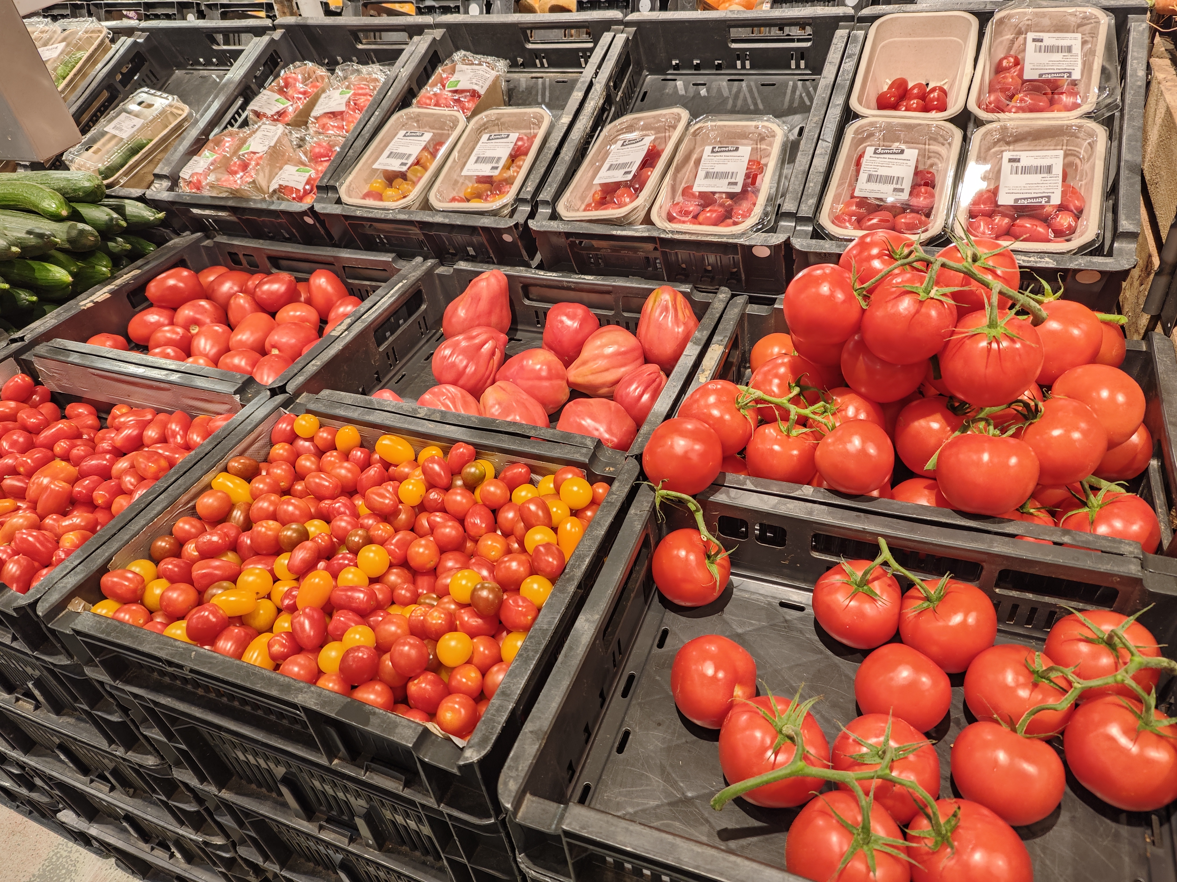 All kinds of tomatoes