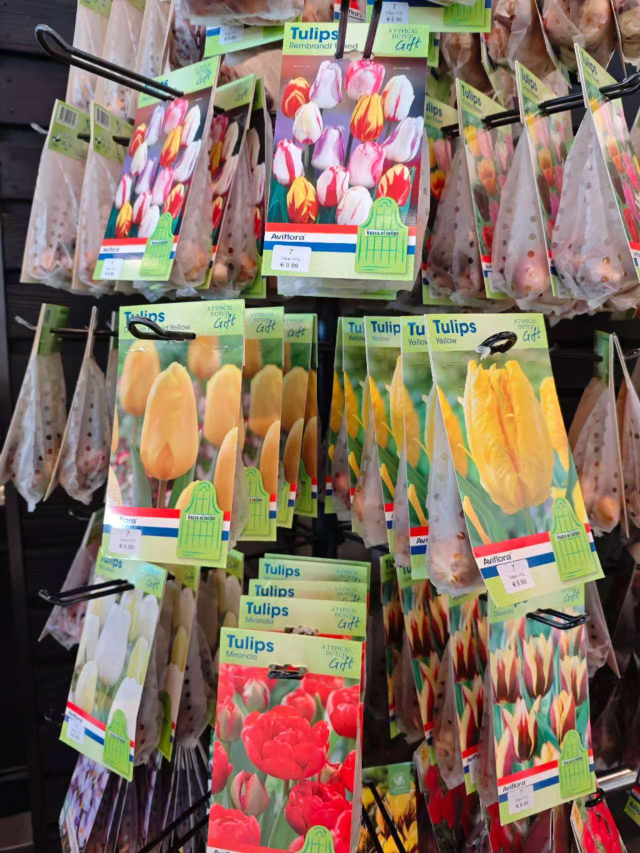 没看到郁金香但是看到种子了~