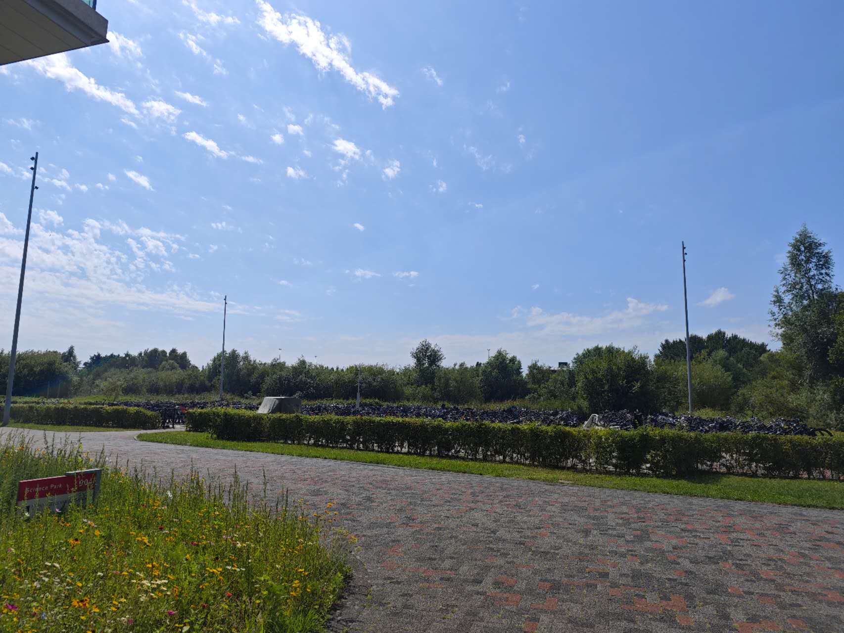 UvA的自行车停车场